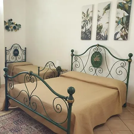 La Rosa Del Sud